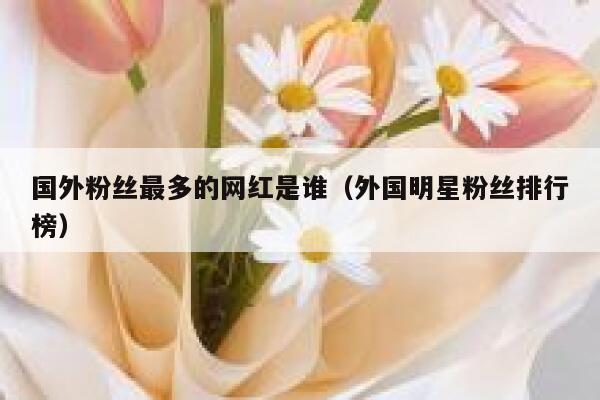 国外粉丝最多的网红是谁（外国明星粉丝排行榜） 第1张