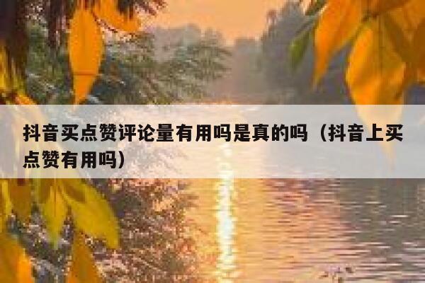 抖音买点赞评论量有用吗是真的吗（抖音上买点赞有用吗） 第1张