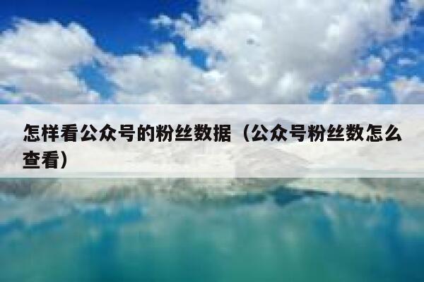 怎样看公众号的粉丝数据（公众号粉丝数怎么查看） 第1张