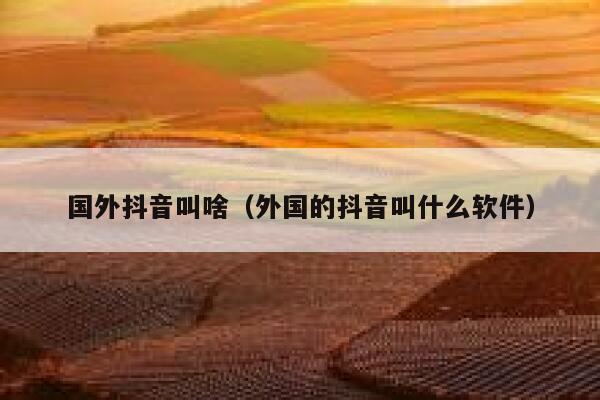 国外抖音叫啥（外国的抖音叫什么软件） 第1张