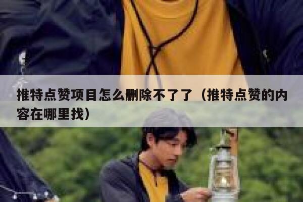 推特点赞项目怎么删除不了了（推特点赞的内容在哪里找） 第1张