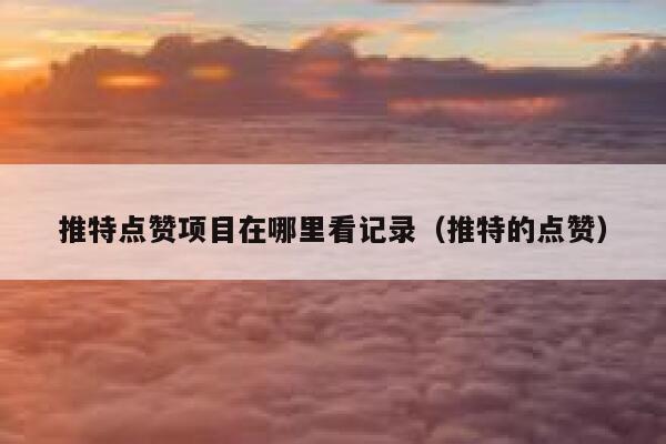 推特点赞项目在哪里看记录（推特的点赞） 第1张