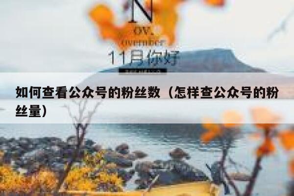 如何查看公众号的粉丝数（怎样查公众号的粉丝量） 第1张