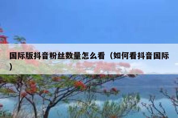 国际版抖音粉丝数量怎么看（如何看抖音国际） 第1张