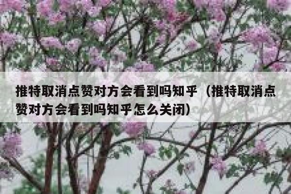 推特取消点赞对方会看到吗知乎（推特取消点赞对方会看到吗知乎怎么关闭） 第1张