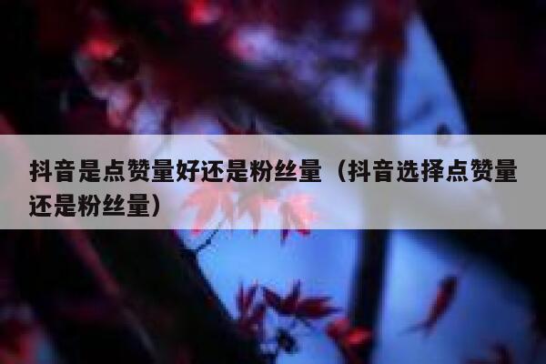 抖音是点赞量好还是粉丝量（抖音选择点赞量还是粉丝量） 第1张