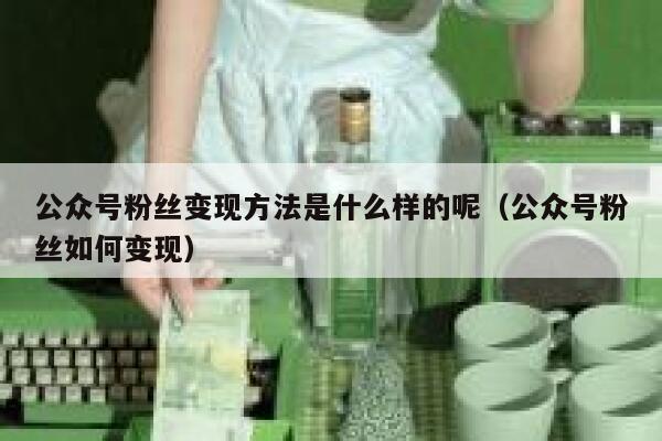 公众号粉丝变现方法是什么样的呢（公众号粉丝如何变现） 第1张