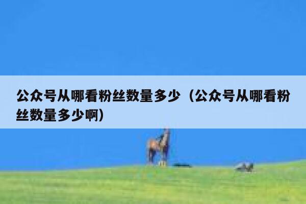 公众号从哪看粉丝数量多少（公众号从哪看粉丝数量多少啊） 第1张