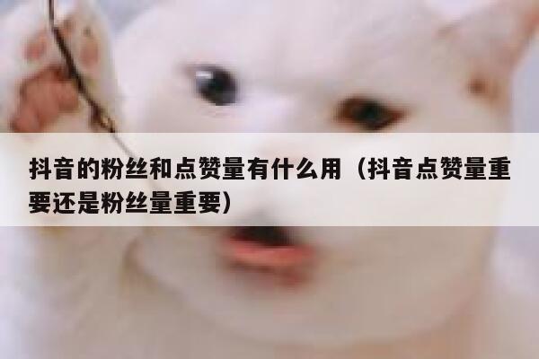 抖音的粉丝和点赞量有什么用（抖音点赞量重要还是粉丝量重要） 第1张