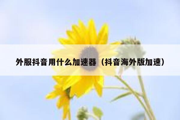 外服抖音用什么加速器（抖音海外版加速） 第1张