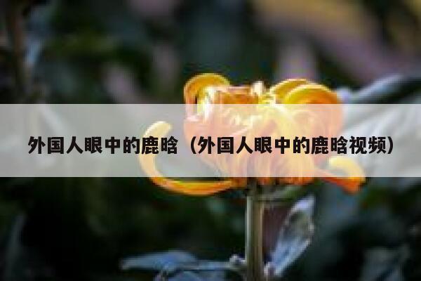 外国人眼中的鹿晗（外国人眼中的鹿晗视频） 第1张