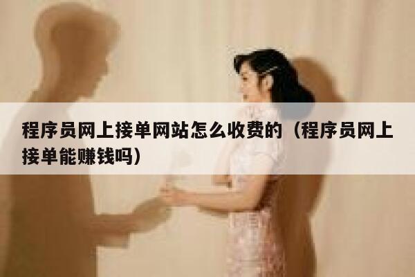 程序员网上接单网站怎么收费的（程序员网上接单能赚钱吗） 第1张