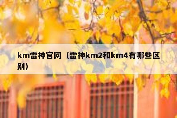 km雷神官网（雷神km2和km4有哪些区别） 第1张