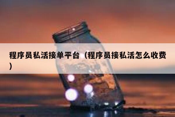 程序员私活接单平台（程序员接私活怎么收费） 第1张
