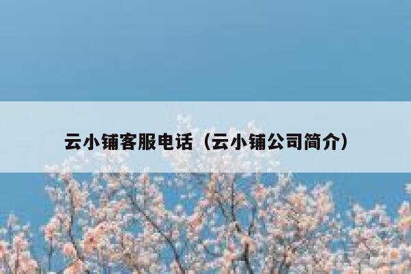 云小铺客服电话（云小铺公司简介） 第1张
