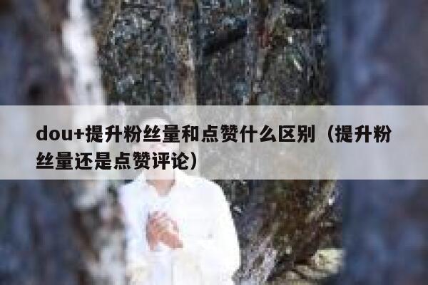 dou+提升粉丝量和点赞什么区别（提升粉丝量还是点赞评论） 第1张