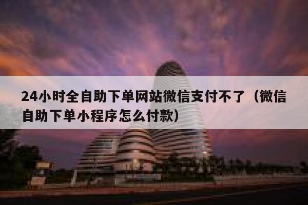 24小时全自助下单网站微信支付不了（微信自助下单小程序怎么付款） 第1张
