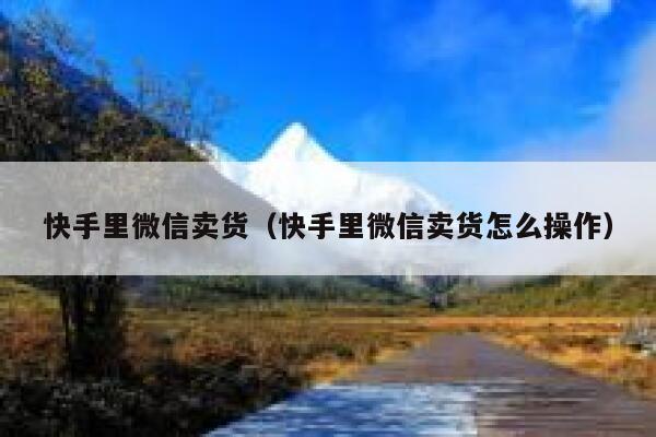 快手里微信卖货（快手里微信卖货怎么操作） 第1张