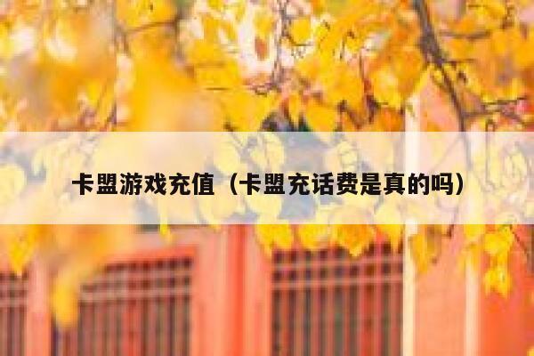 卡盟游戏充值（卡盟充话费是真的吗） 第1张