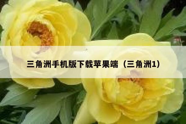 三角洲手机版下载苹果端（三角洲1） 第1张