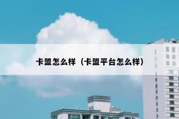 卡盟怎么样（卡盟平台怎么样） 第1张
