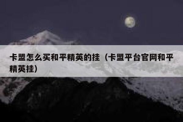 卡盟怎么买和平精英的挂（卡盟平台官网和平精英挂） 第1张