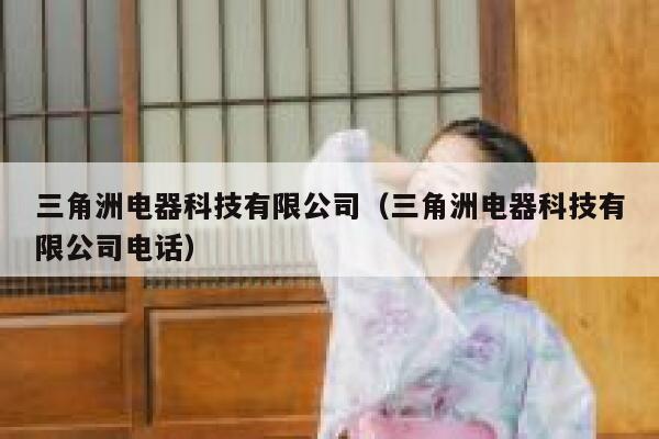 三角洲电器科技有限公司（三角洲电器科技有限公司电话） 第1张