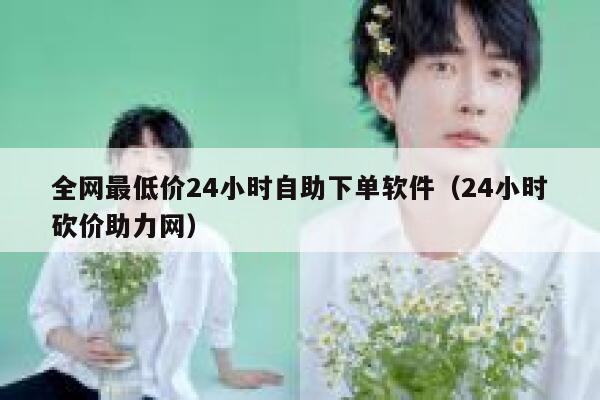 全网最低价24小时自助下单软件（24小时砍价助力网） 第1张