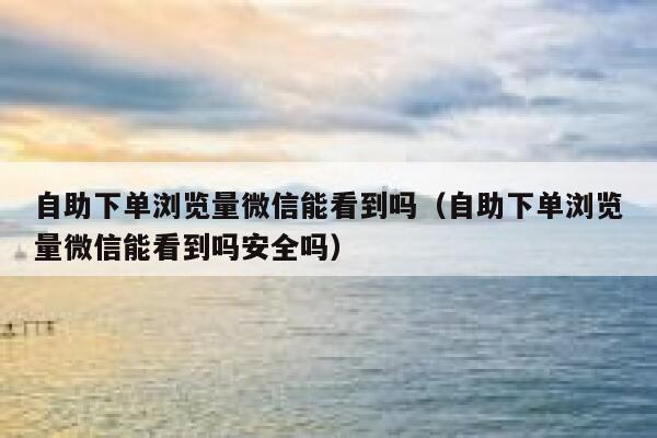 自助下单浏览量微信能看到吗（自助下单浏览量微信能看到吗安全吗） 第1张
