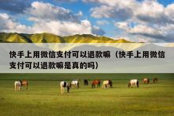 快手上用微信支付可以退款嘛（快手上用微信支付可以退款嘛是真的吗） 第1张