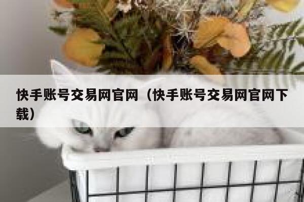 快手账号交易网官网（快手账号交易网官网下载） 第1张