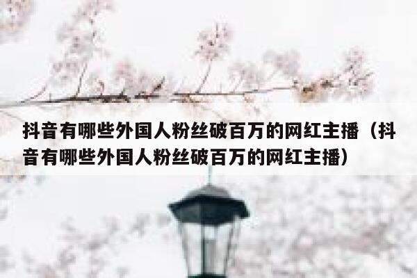 抖音有哪些外国人粉丝破百万的网红主播（抖音有哪些外国人粉丝破百万的网红主播） 第1张