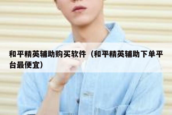 和平精英辅助购买软件（和平精英辅助下单平台最便宜） 第1张