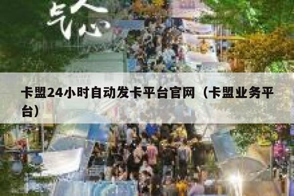 卡盟24小时自动发卡平台官网（卡盟业务平台） 第1张
