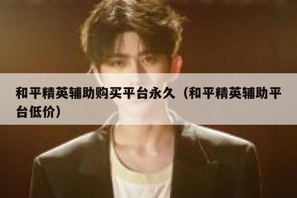 和平精英辅助购买平台永久（和平精英辅助平台低价） 第1张