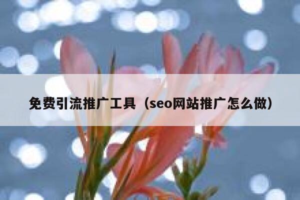 免费引流推广工具（seo网站推广怎么做） 第1张