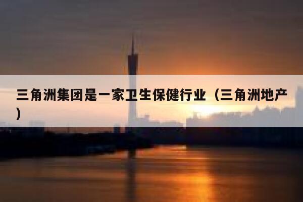 三角洲集团是一家卫生保健行业（三角洲地产） 第1张