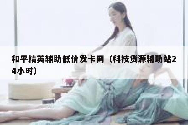 和平精英辅助低价发卡网（科技货源辅助站24小时） 第1张