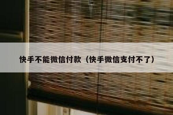 快手不能微信付款（快手微信支付不了） 第1张