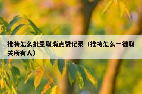 推特怎么批量取消点赞记录（推特怎么一键取关所有人） 第1张