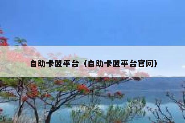 自助卡盟平台（自助卡盟平台官网） 第1张