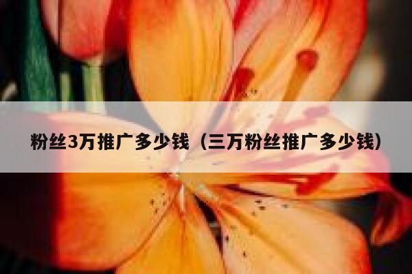粉丝3万推广多少钱（三万粉丝推广多少钱） 第1张