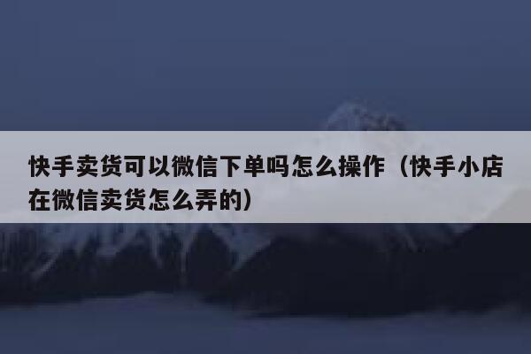 快手卖货可以微信下单吗怎么操作（快手小店在微信卖货怎么弄的） 第1张