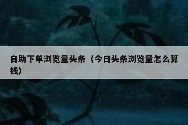 自助下单浏览量头条（今日头条浏览量怎么算钱） 第1张