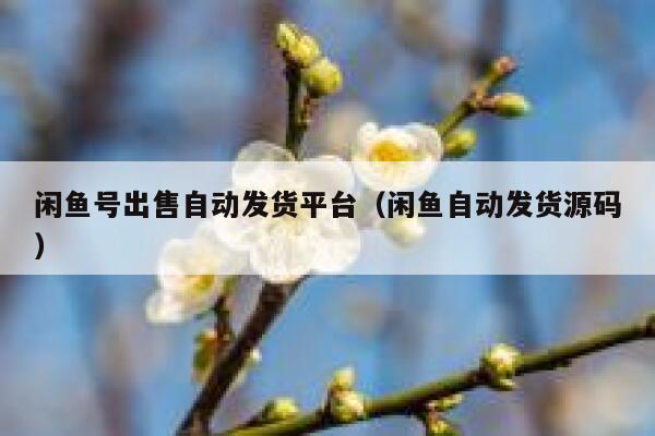 闲鱼号出售自动发货平台（闲鱼自动发货源码） 第1张