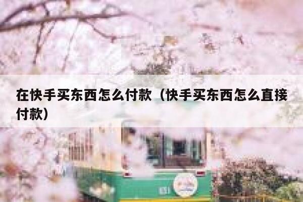 在快手买东西怎么付款（快手买东西怎么直接付款） 第1张