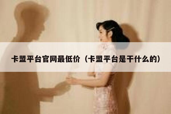 卡盟平台官网最低价（卡盟平台是干什么的） 第1张