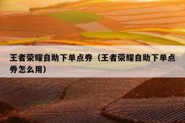 王者荣耀自助下单点券（王者荣耀自助下单点券怎么用） 第1张