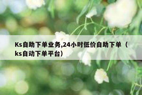 Ks自助下单业务,24小时低价自助下单（ks自动下单平台） 第1张