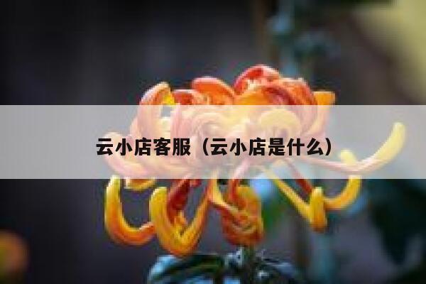 云小店客服（云小店是什么） 第1张